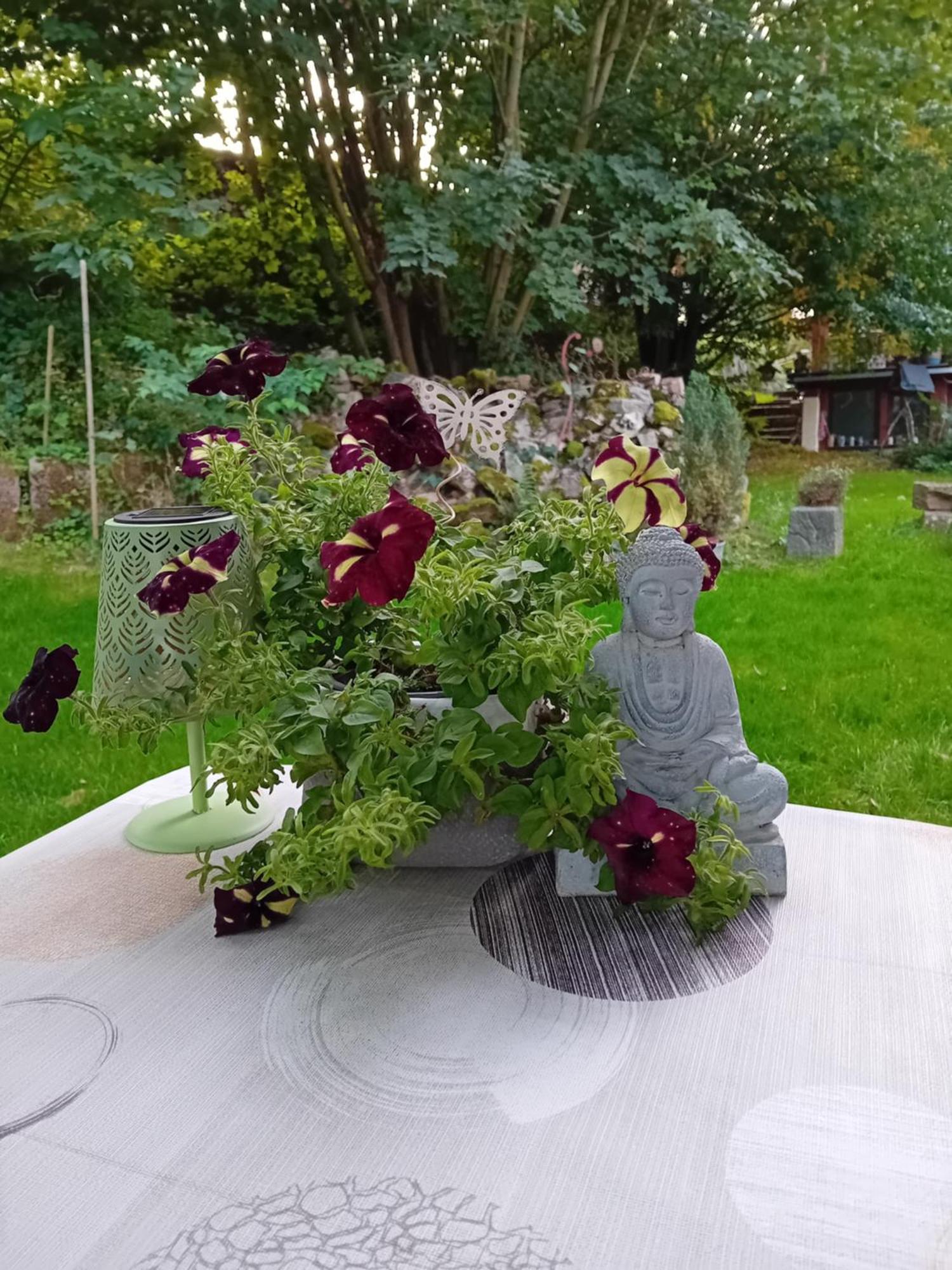 Ferienhaus Mit Garten Im Odenwald Zu Vermieten Frankisch-Crumbach Zewnętrze zdjęcie